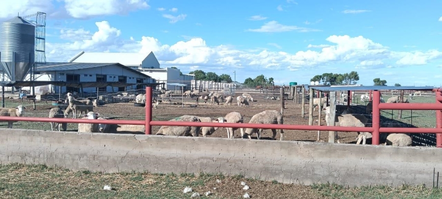 13 Bedroom Property for Sale in Bainsvlei Free State